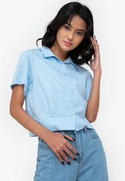 ZALORA BASICS Pleated Crop Blouse