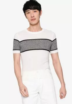 ZALORA BASICS Block Knitted Short Sleeve Sweater
