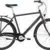 Raleigh Shopping Alu Herre 7g Dynamonav